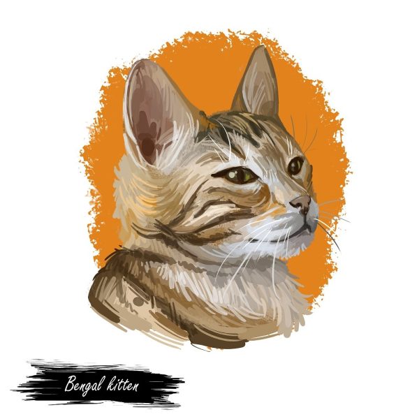 Bengal Kitten Portrait Fabric Panel Online Hot Sale